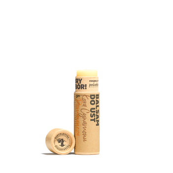 Lippenbalsam (Lippenpflegestift) Zimt-Rinde & Orange