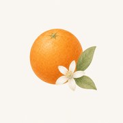 Bio-Orange